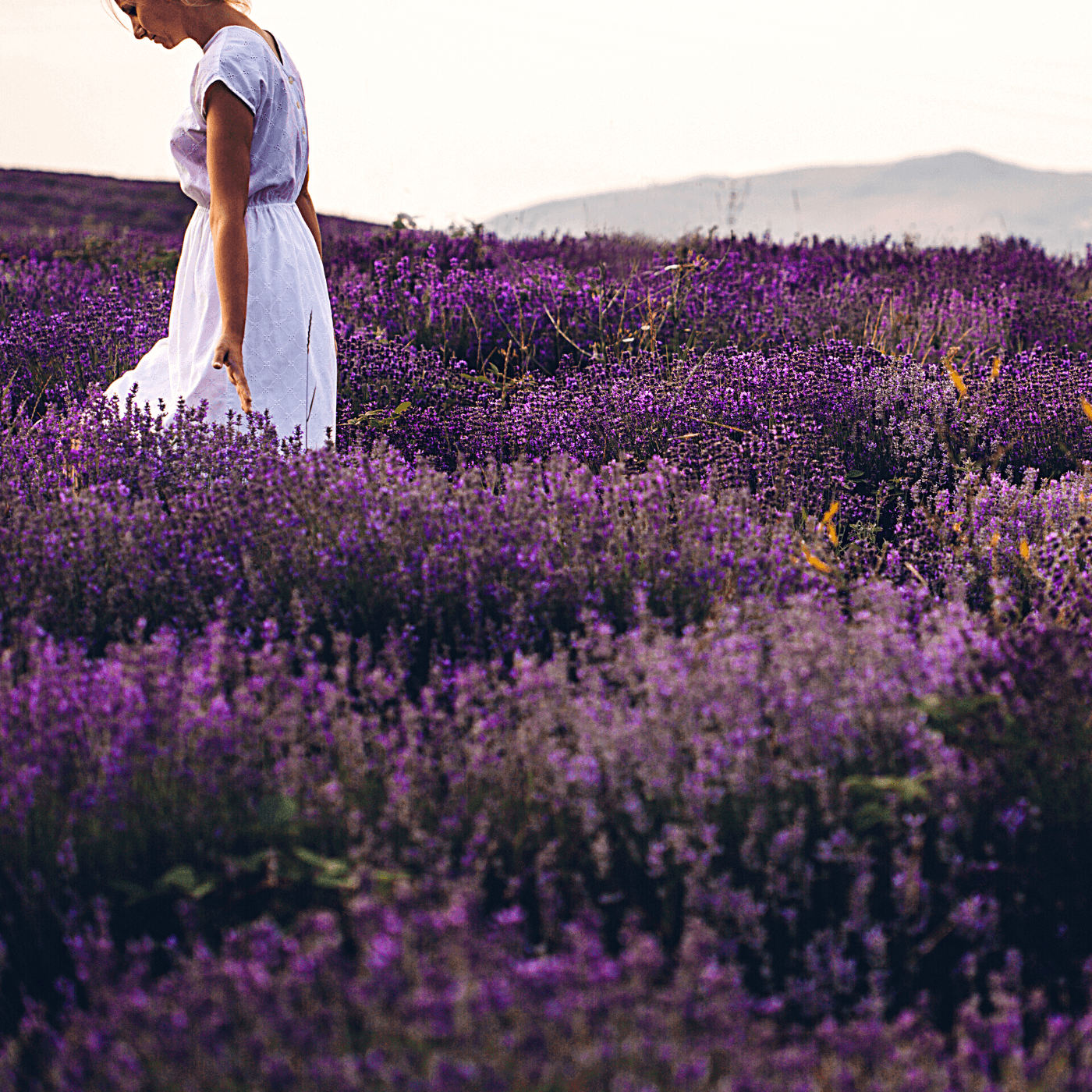 Man on his laptop drinking coffee